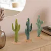 Decorative Flowers 3 Pcs Miniature Child Plant Natural Looking Artificial Plants Pvc Cactus Adornment