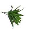 Fiori decorativi simulati piante succulente bonsai sedum adolphii senza fiore naturale fiore artificiale giglio della valle cactus