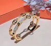 Lyfashion Jewelry S925 Silver placcato Hletter Bracciale zircone Inlay Elettroplazione 18K Luxuria e allaround Fashion Ball Lady4548019