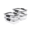 Storage Bottles Brilliance Glass Variety Set Of 4 Food Containers With Latching Lids