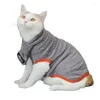 Hundkläder kanadensisk hårlös katttröja stickade vinterkläder Sphynx Klädrockarvald kostymdräkt plagg plagg