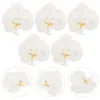 Fleurs décoratives 5 pcs orchidées de fleurs décoration de tête Clip