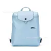 Дизайнерские сумки магазины со скидкой 95% скидка на классический новый рюкзак на открытом воздухе складывание с 70 -летием 70 -летия.