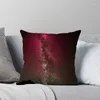 Pillow House Decorative Home Pillowcase For Sofa Cover Nordic 40 40cm 40x40 50x50 60x60cm 45 Living Room Abstract Pink Boho