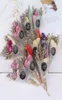 Trockene Blume künstliches Kristallgras für Valentine039s Day Geschenkdekoration Mini Bouquet Diy Girl