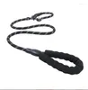 Colliers de chien Pet Leash Night Reflective Not Strangulation Explosion Punch Punch P Chain Outdoor Supplies Accessoires