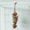 Autres fournitures d'oiseaux Parrot de recherche de recherche de nourriture en bois Palme tissé parakets multifonctionnels Jouets de morsure de morsure