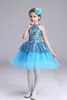 Tutu Ballet Dress for Girls Gymnastics Leotard Kids Ballet Dance Clothes Children Ballerina Costume Ballet Tutus Dancing Dresses 240510