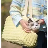 Cat Carriers 2024 Style Pet Carrier For Cats Dog Waffler Kitten Puppy Bag Travel Leverancier Accessoires