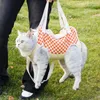 Kota nosiciele zwierząt domowych z otworami nóg niosąc solidne, lekkie zakupy dla kociaka