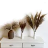 Decorative Flowers Natural Dried Flower Wedding Pampas Grass Decor Decoration Home Pampa 45cm Reed Tail For Party Decorat