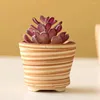 Vases 2 PCS Flowerpot Decoration Ceramic Planter Pots Cactus Succulent Ceramics for Small Succulents Office