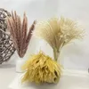 Decorative Flowers Natural Dried Flower Wedding Pampas Grass Decor Decoration Home Pampa 45cm Reed Tail For Party Decorat