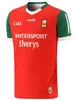 Topp 24 25 GAA Rugby Jerseys sportkläder ner Leitrim Armagh Dublin Kilkenny Wexford Kerry Tyrone Fermanagh Derry Roscommon Donegal Mayo Cork Gaillimh Carlow