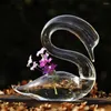 Vasos vaso de vidro transparente forma de cisne hidropônico terrário terrário em vasos de planta vaso de flores de mesa de casa de jardim decorações de jardim
