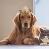 Ropa para perros 3pcs sombreros mexicanos sombrero de halloween vestido de mano de la mano del estilo mexico para