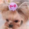 Dog Apparel 1PC Pet Hair Bows Pretty Tulle Puppy Clips Grooming Beauty Supplies Hairband Accessories