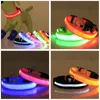 USB -laddning LED Dog Collar Safety Night Light Flashing Halsband Fluorescerande krage PET -leveranser 240428