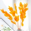 Dekorativa blommor 5st Natural Dried Leaves Fresh Conservered Orange Leaf Bouquet Christmas Party Wedding Home Room Decortion Objekt