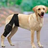 Dog Apparel Back Leg Brace Knee Adjustable Pet Support Rear Legs Protector Dogs Injury Recovery Supplies
