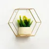 Decorative Plates Wall Mounted Hexagon Shelves Metal Framed Gold Storage Holder Rack With Wooden Floor Living Room Home Party Decor