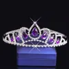 Фиолетовые хрустальные бриллианты девушки головные уборы детские корона цветочниц с цветочной девушкой.