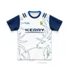 Kids 2022/2023 Kerry GAA 3 Stripe Movileser Jersey