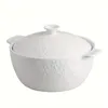 Bols gallons en céramique soupleen avec couvercle de 3,8 L de grande capacité bol et poignées pour servir le ragoût de nouilles à pâtes à salade de salade