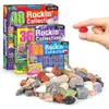 Collection naturelle de rock gemm pour les enfants 36 types de minerai minéral