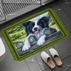 Carpets non glissant et lavable Balcon de la maison de la maison décoration de salle de bain Carpet salon Roomat Border Collie Entrance Door Mats