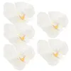 Fleurs décoratives 5 pcs orchidées de fleurs décoration de tête Clip