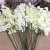 20pcslot des branches d'orchidées blanches entières Fleurs artificielles pour les orchidées de décoration de fête de mariage Fleurs pas cher 4134610