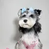 럭셔리 애완 동물 옷 디자이너 개 의류 개 스웨터 애완 동물 스웨트 셔츠 조끼 작은 강아지 핑크 클래식 편지 패턴 애완 동물 의류 브랜드
