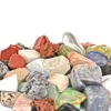 Collection naturelle de rock gemm pour les enfants 36 types de minerai minéral