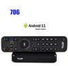 Hot TV Box TVIP706 2G8G 4K met Dual Wifi S-Box 4K HEVC HD voor USA Canada UK Android 11 Multimedia Streamer Smart TV Box