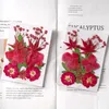 Flores decorativas 11-12pcs/pacote de materiais vegetais coloridos naturais coloridos seco para DIY Ferramentas de joalheria de resina de DIY Ferramentas de jóias