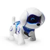 Intelligent Robot Dog Toy Cute Electronic Pets LJ201105 Kids Smart Animals Regalo di compleanno per bambini Presente ACIRN
