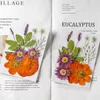 Flores decorativas 11-12pcs/pacote de materiais vegetais coloridos naturais coloridos seco para DIY Ferramentas de joalheria de resina de DIY Ferramentas de jóias