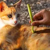 Appareils pour chiens 3pcs / Set Pet Relea Repval Tool Kit Plastic Scratching Hook Remover Remover Cat Tooming Supplies Tweezers Clip