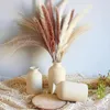 Decoratieve bloemen Gedroogd pampas gras bevat staarten reed boeket bruiloft boho thuistafel decor dekoratie