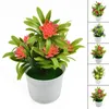 Flores decorativas Planta artificial Lily Flower Plants Plants Home Wedding Room Tabel Shop Decor Aquatic Bonsai Plástico