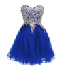 Bourgogne Short Prom Party Robes Homecoming Gown une ligne en or appliquée ennelle en tulle noir Royal Blue Blue pastèque Cocktail 272b