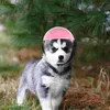 Dog Apparel Pet Funny Hat декоративная кошка на открытом воздухе. Защита для защитников щенка.