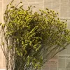 Dekorativa blommor kristallgräs naturligt färskt torkad bevarade pampor för heminredning bröllop brud bukett gåva utomhus dekoration