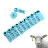 100 pcs Mouton Pig Marker Carte d'oreille Étiquette de retrait de suppression 2 étiquette d'oreille Tag de bétail Tagueur APPLICATEUR Kit d'identification animale 240507