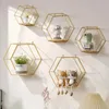 Decorative Plates Wall Mounted Hexagon Shelves Metal Framed Gold Storage Holder Rack With Wooden Floor Living Room Home Party Decor