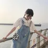 カジュアルドレス女性のノースリーズデニムブルールーズ学生オールマッチ夏の刺繍ビンテージサンドレス韓国スタイルの10代の甘いポケット