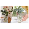 Vases en verre floral Arrangement de fleurs de vase à la maison décoration de table Ornement table basse élégante pour les plantes vertes Freesias