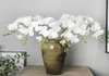 Fiori di orchidea bianca di seta artificiale Fino fiore falso per falena per festival per feste per la festa di nozze decorazione del festival casa278n3511484