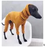 Vêtements pour chiens Automne et Vêtements pour animaux de compagnie en tricot à quatre points Pull à quatre pattes Écharpe longue à capuche à capuche proche